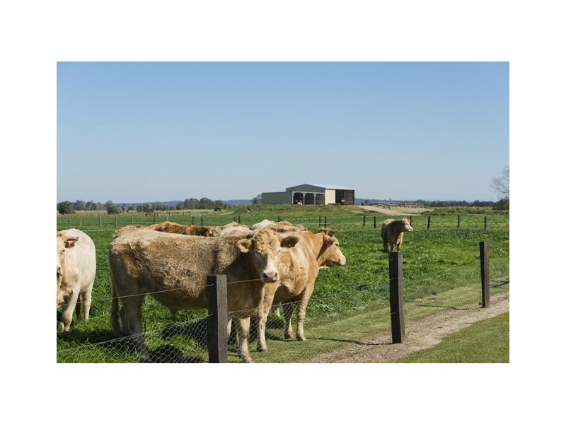 173 Weir Road, Lower Southgate NSW 2460