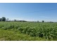 173 Weir Road, Lower Southgate NSW 2460
