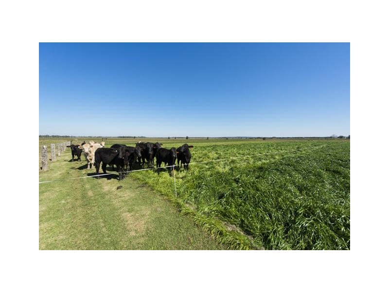 173 Weir Road, Lower Southgate NSW 2460