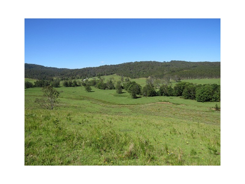 2788 Kangaroo Creek Rd, Kangaroo Creek NSW 2460