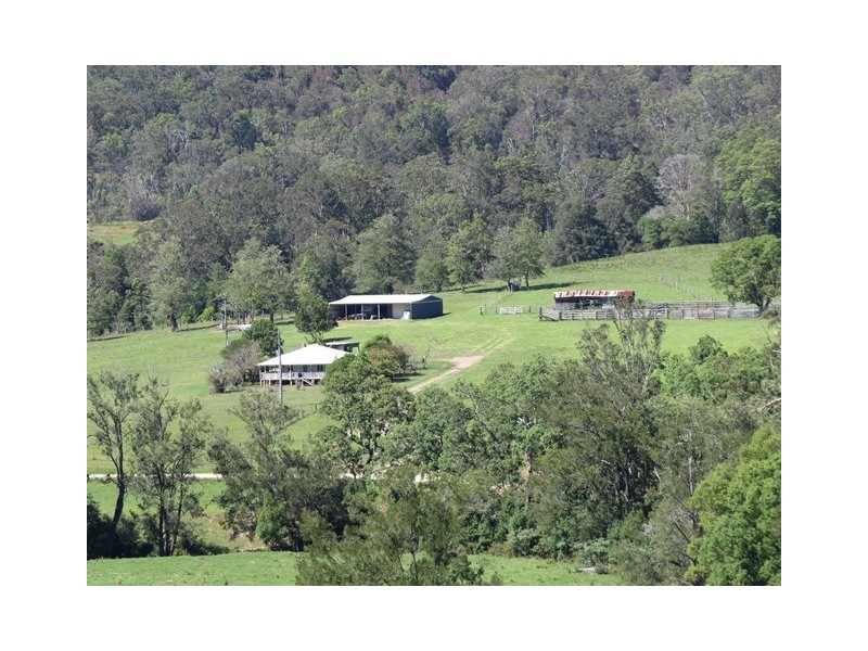 2788 Kangaroo Creek Rd, Kangaroo Creek NSW 2460