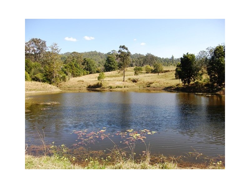 2788 Kangaroo Creek Rd, Kangaroo Creek NSW 2460