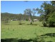 2788 Kangaroo Creek Rd, Kangaroo Creek NSW 2460