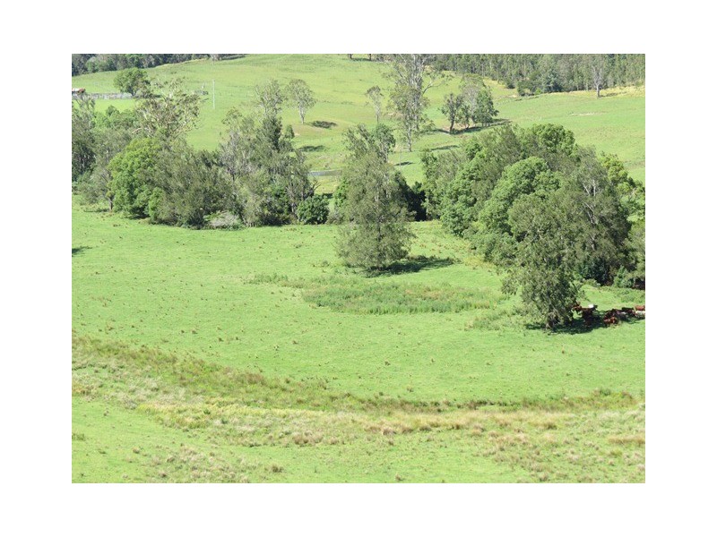 2788 Kangaroo Creek Rd, Kangaroo Creek NSW 2460