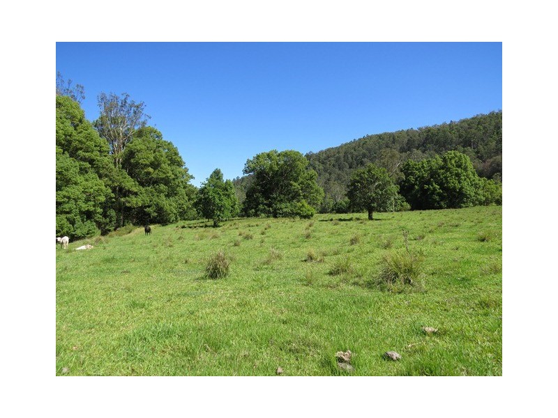 2788 Kangaroo Creek Rd, Kangaroo Creek NSW 2460