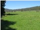 2788 Kangaroo Creek Rd, Kangaroo Creek NSW 2460