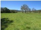 2788 Kangaroo Creek Rd, Kangaroo Creek NSW 2460