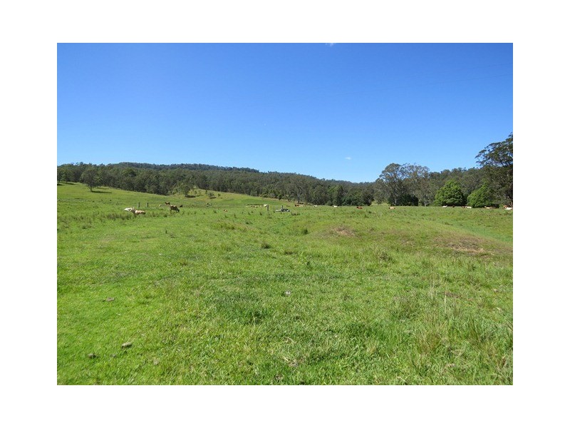 2788 Kangaroo Creek Rd, Kangaroo Creek NSW 2460