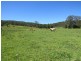 2788 Kangaroo Creek Rd, Kangaroo Creek NSW 2460