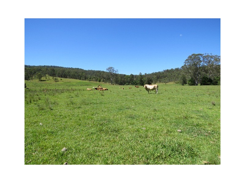 2788 Kangaroo Creek Rd, Kangaroo Creek NSW 2460