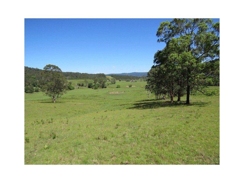 2788 Kangaroo Creek Rd, Kangaroo Creek NSW 2460