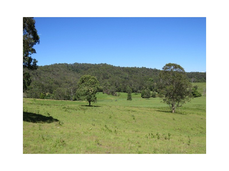 2788 Kangaroo Creek Rd, Kangaroo Creek NSW 2460