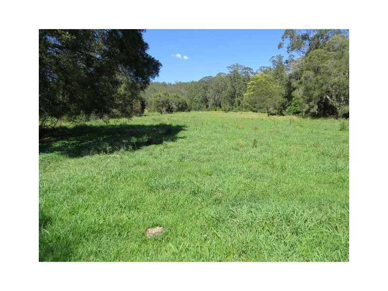 2788 Kangaroo Creek Rd, Kangaroo Creek NSW 2460
