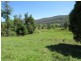 2788 Kangaroo Creek Rd, Kangaroo Creek NSW 2460