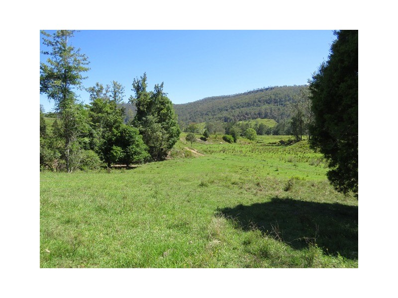 2788 Kangaroo Creek Rd, Kangaroo Creek NSW 2460