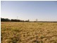 517 Gilletts Ridge Road, Coldstream NSW 2462