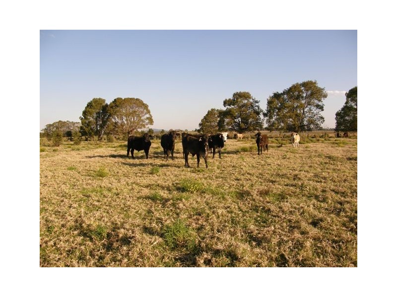 517 Gilletts Ridge Road, Coldstream NSW 2462