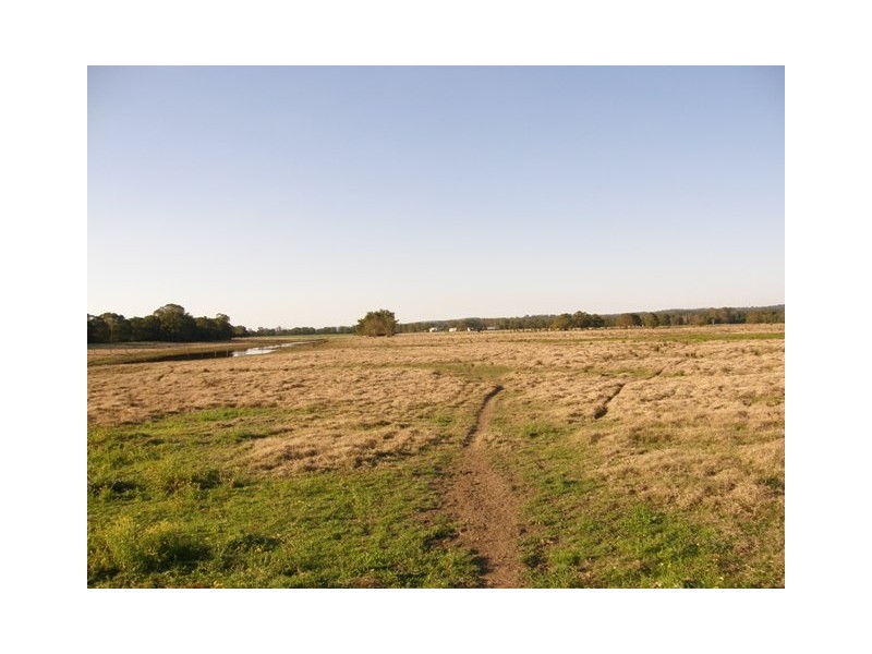 517 Gilletts Ridge Road, Coldstream NSW 2462