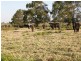 517 Gilletts Ridge Road, Coldstream NSW 2462