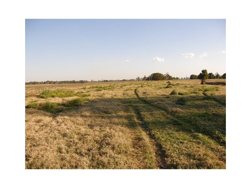 517 Gilletts Ridge Road, Coldstream NSW 2462