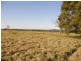 517 Gilletts Ridge Road, Coldstream NSW 2462