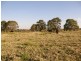 517 Gilletts Ridge Road, Coldstream NSW 2462