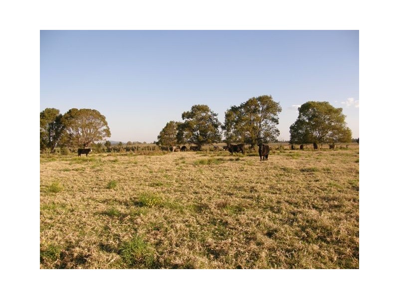 517 Gilletts Ridge Road, Coldstream NSW 2462