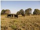 517 Gilletts Ridge Road, Coldstream NSW 2462