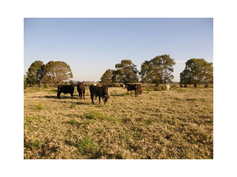 517 Gilletts Ridge Road, Coldstream NSW 2462