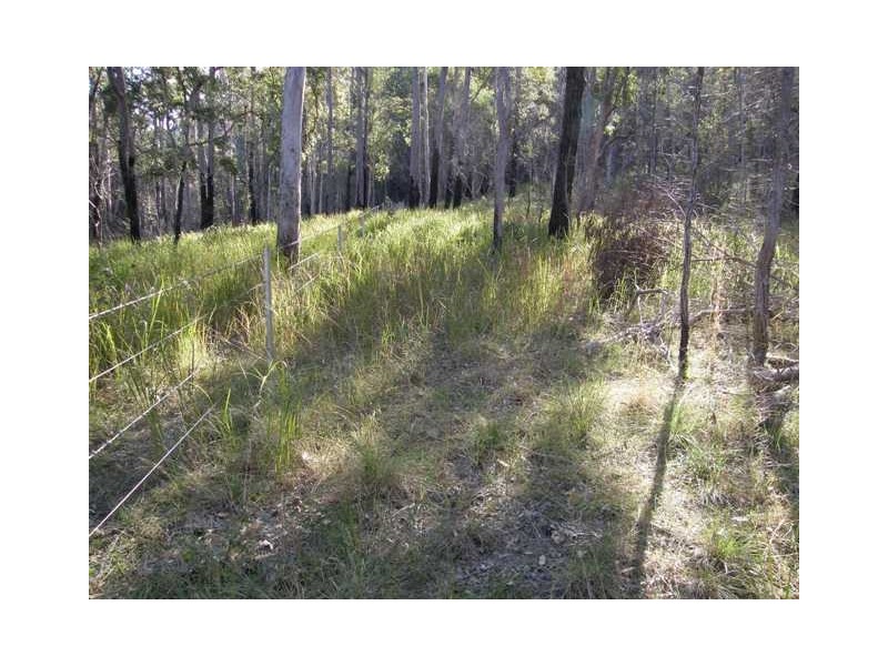 Lot 52 Glens Creek Road, Nymboida NSW 2460