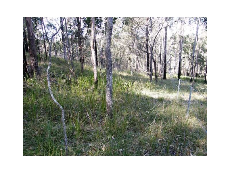 Lot 52 Glens Creek Road, Nymboida NSW 2460