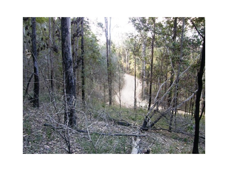 Lot 52 Glens Creek Road, Nymboida NSW 2460