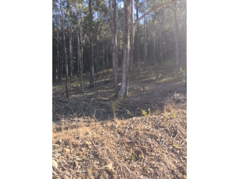 Lot 52 Glens Creek Road, Nymboida NSW 2460