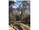 Lot 52 Glens Creek Road, Nymboida NSW 2460