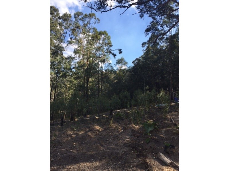 Lot 52 Glens Creek Road, Nymboida NSW 2460