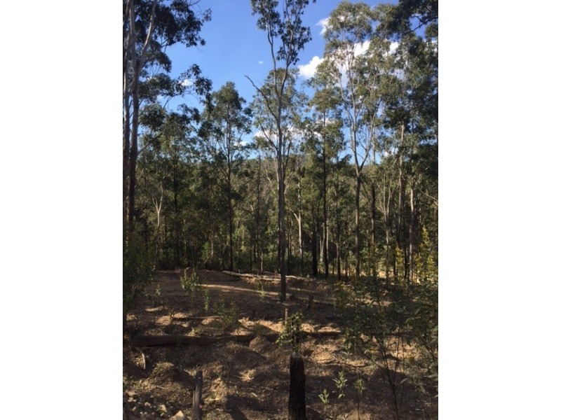 Lot 52 Glens Creek Road, Nymboida NSW 2460