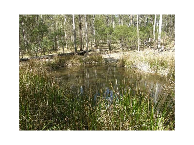 3266 Blacksmith Shop Rd, Newton Boyd NSW 2370