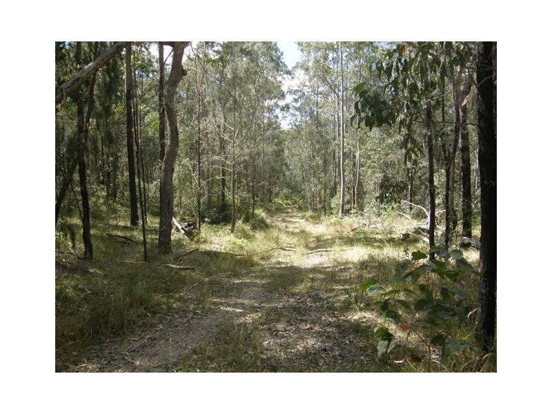 3266 Blacksmith Shop Rd, Newton Boyd NSW 2370