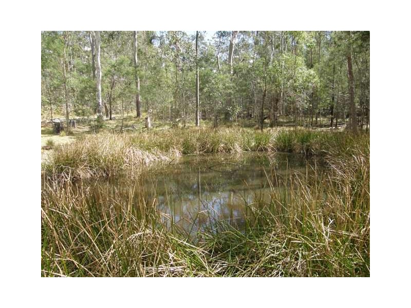 3266 Blacksmith Shop Rd, Newton Boyd NSW 2370