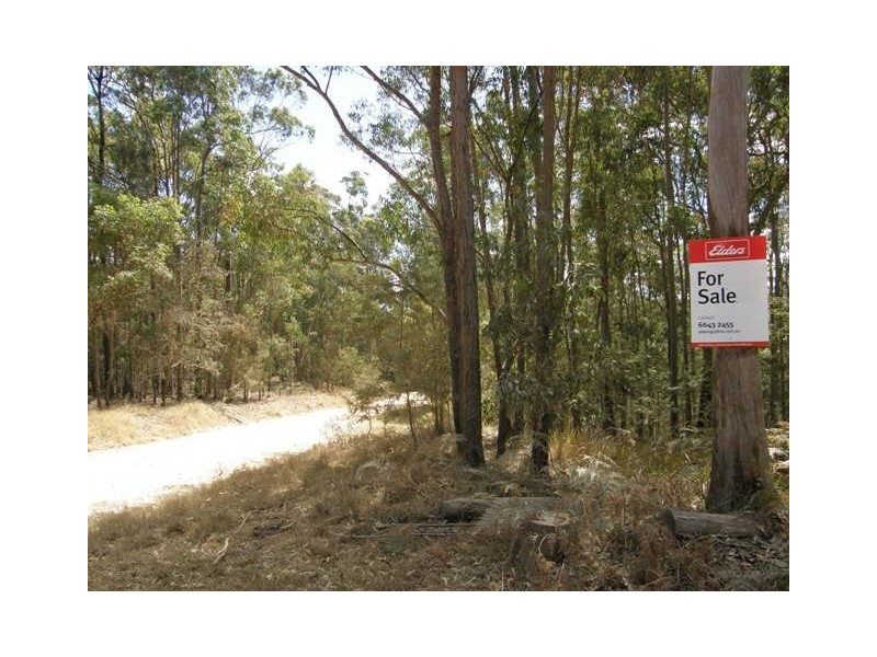 3266 Blacksmith Shop Rd, Newton Boyd NSW 2370