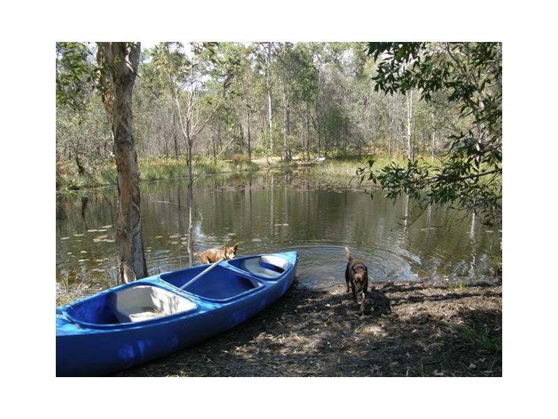 1028 Stockyard Creek Rd, Stockyard Creek NSW 2460