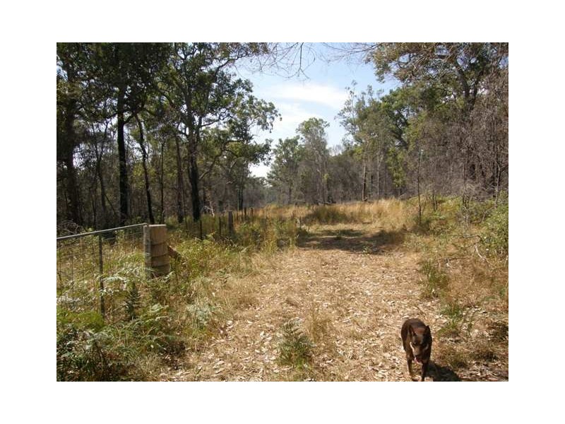 1028 Stockyard Creek Rd, Stockyard Creek NSW 2460