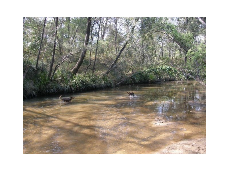 1028 Stockyard Creek Rd, Stockyard Creek NSW 2460