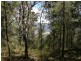 Lot 33 Pine Trees Ridge Fire Trail, Newton Boyd NSW 2370