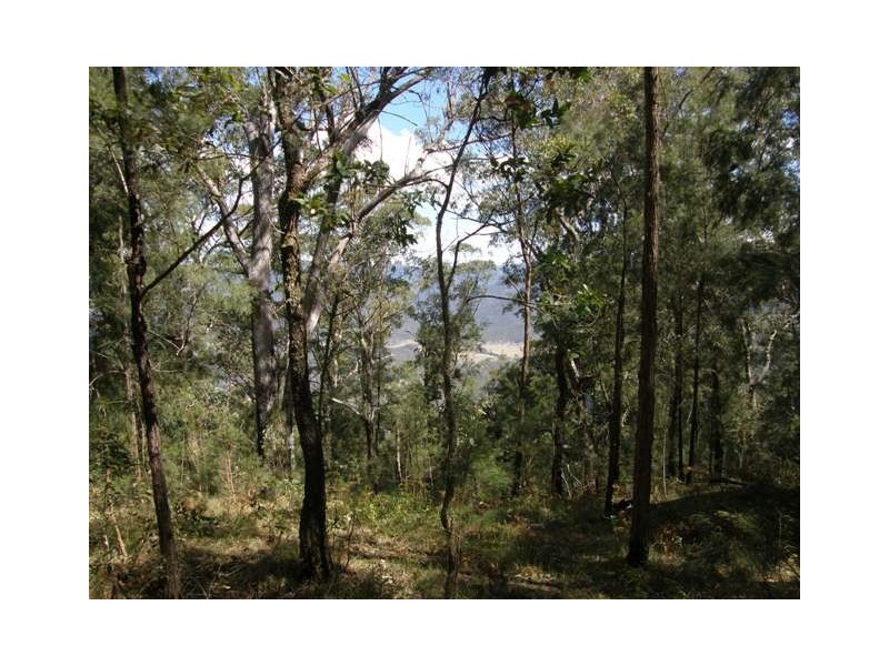 Lot 33 Pine Trees Ridge Fire Trail, Newton Boyd NSW 2370