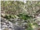 Lot 33 Pine Trees Ridge Fire Trail, Newton Boyd NSW 2370