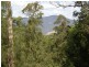 Lot 33 Pine Trees Ridge Fire Trail, Newton Boyd NSW 2370