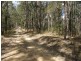 Lot 33 Pine Trees Ridge Fire Trail, Newton Boyd NSW 2370