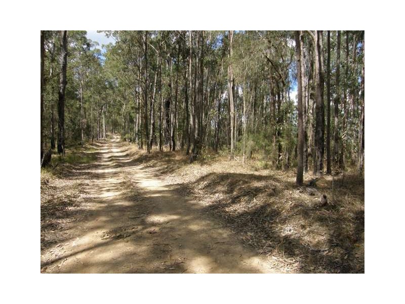 Lot 33 Pine Trees Ridge Fire Trail, Newton Boyd NSW 2370
