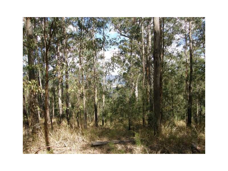 Lot 33 Pine Trees Ridge Fire Trail, Newton Boyd NSW 2370